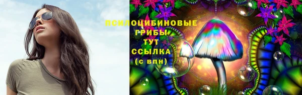 эйфоретик Вяземский