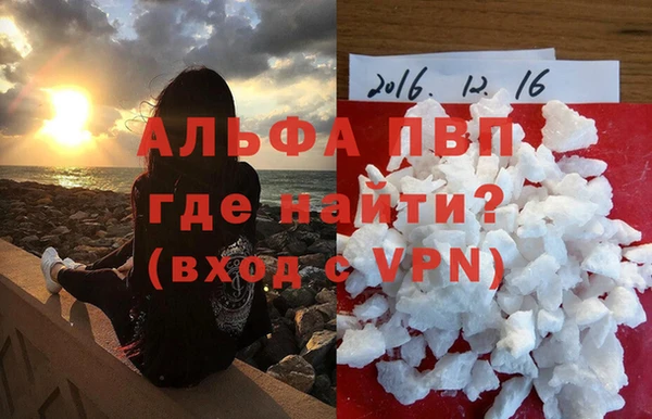 эйфоретик Вяземский
