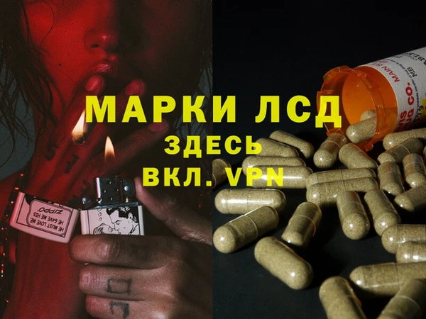 эйфоретик Вяземский