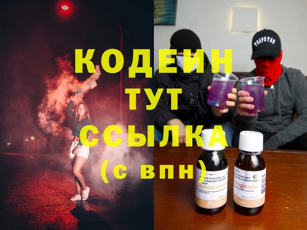 эйфоретик Вяземский