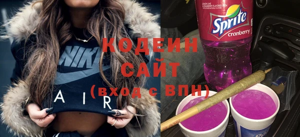 эйфоретик Вяземский