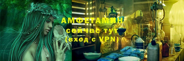 эйфоретик Вяземский