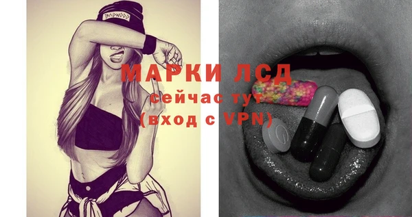 spice Вязники