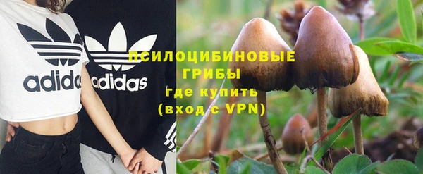 spice Вязники